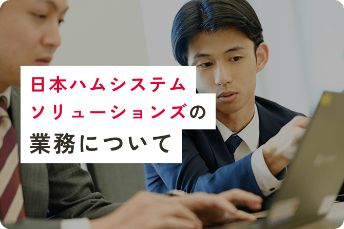 日本ハムシステムソリューションズの業務について